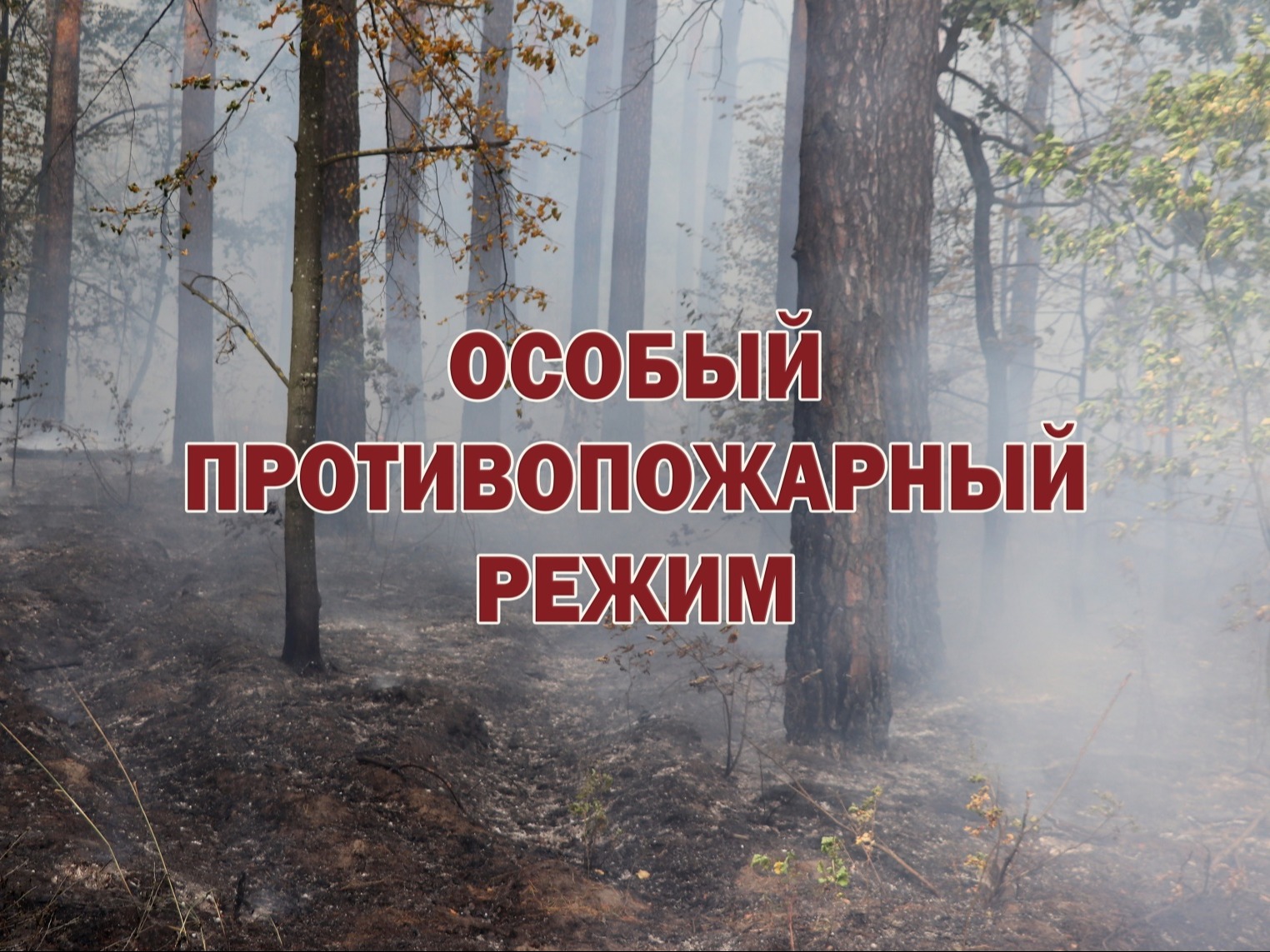 На территории Удмуртской Республики вводится особый противопожарный режим в лесах.