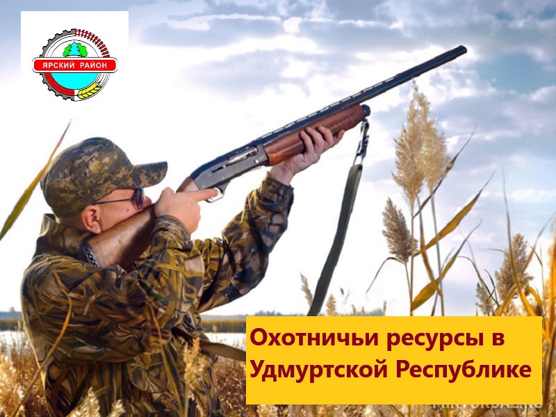 Проект нормативно-технической документации  "Материалы, обосновывающие лимиты и квоты добычи  охотничьих ресурсов в Удмуртской Республике  на период с 1 августа 2023 года до 1 августа 2024 года".