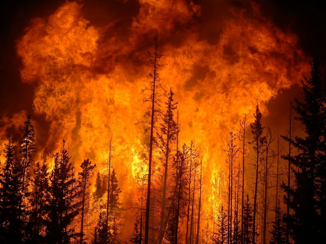 Оперативное предупреждение.